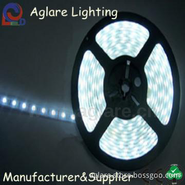 5050/3528SMD waterproof IP65 DC12V RGB Flexible LED Strip